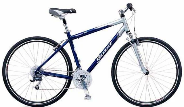 2002 Giant Cypress SX