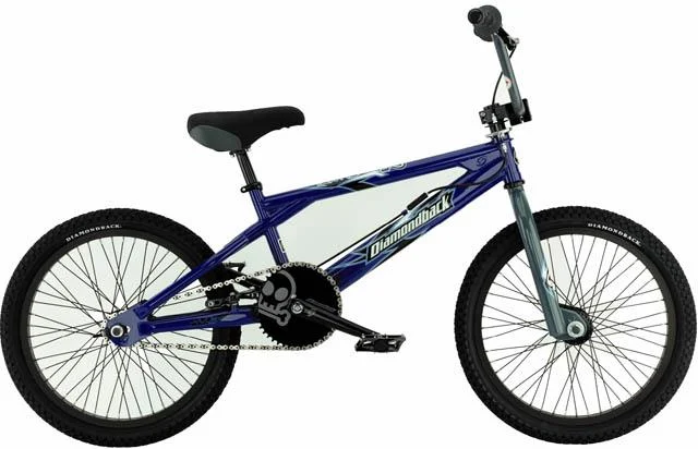 2002 Diamondback Mr. Lucky