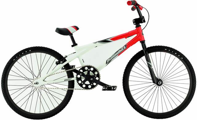 2002 Diamondback RM JR