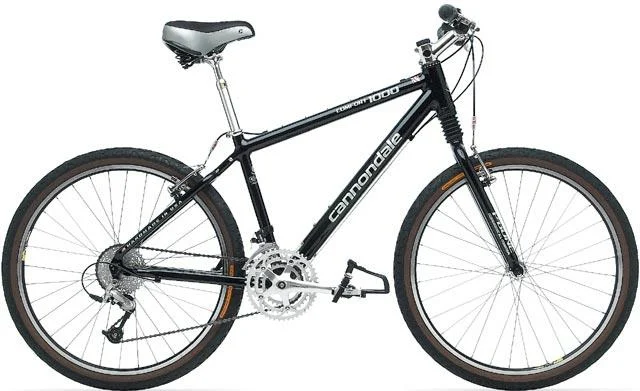 2003 Cannondale Comfort 1000 HeadShok