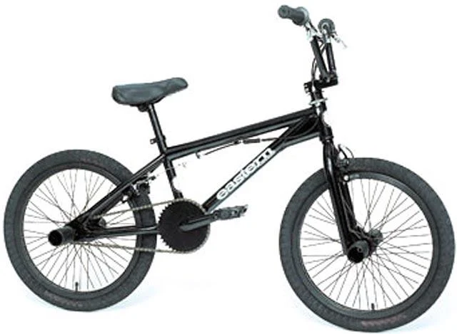 2003 Eastern Bikes Proton Chromosome