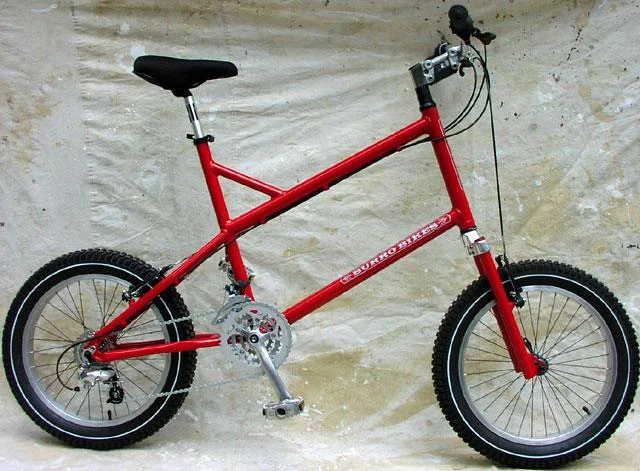 2003 Burro Bikes Burro