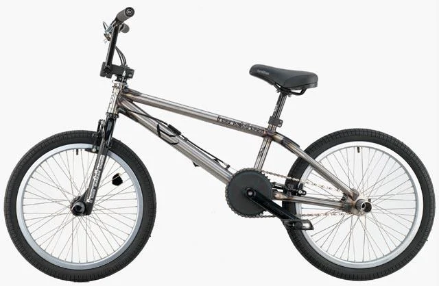 2003 Haro Mirra Flair