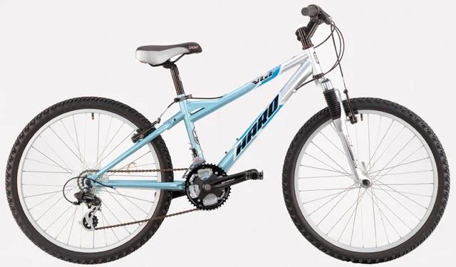 2003 Haro V24