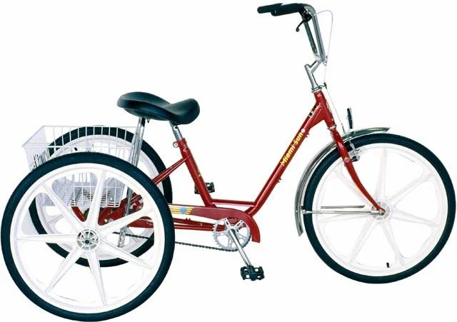 2003 Sun Bicycles Deluxe Trike