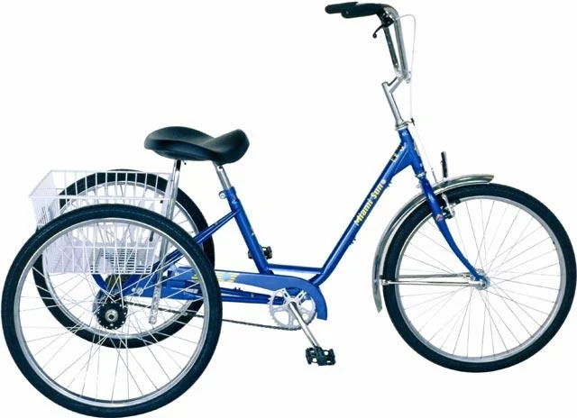 2003 Sun Bicycles Traditional Trike