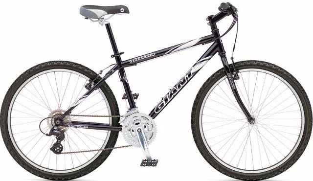 2003 Giant Boulder