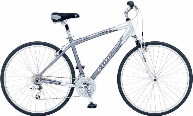 2003 Giant Cypress DX