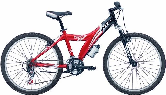 2003 Giant MTX 250