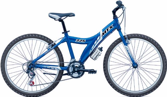 2003 Giant MTX 225
