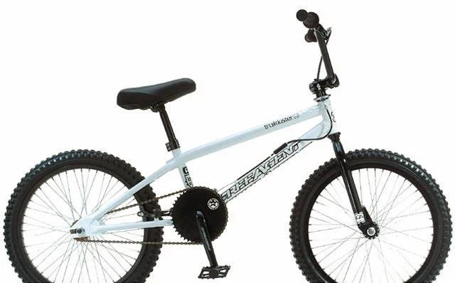 2003 Free Agent Trail Duster