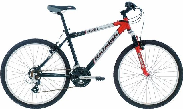 2003 Raleigh M40