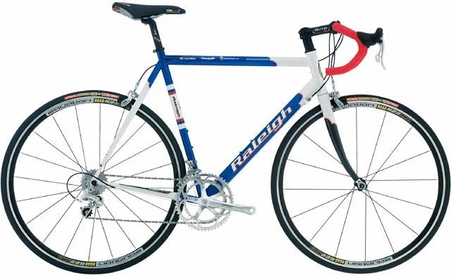 2003 Raleigh International