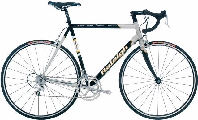 2003 Raleigh Professional