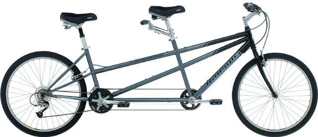 2003 Raleigh Companion