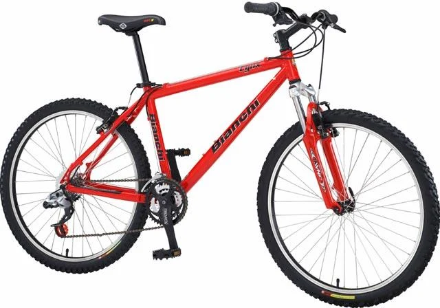 2003 Bianchi Lynx