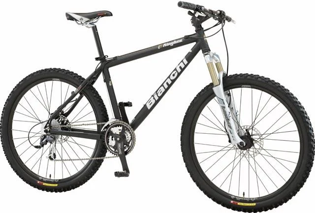 2003 Bianchi KingBee