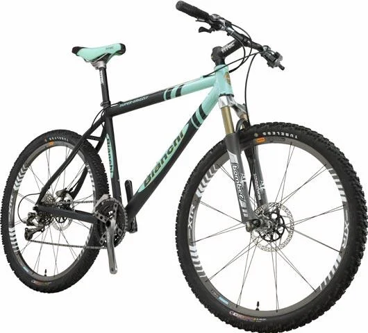 2003 Bianchi Super Grizzly