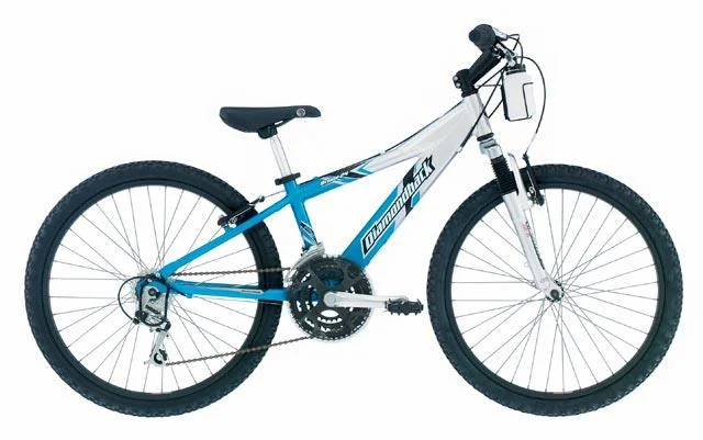 2003 Diamondback Octane 24