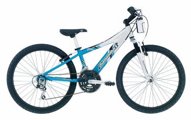 2003 Diamondback Octane 24