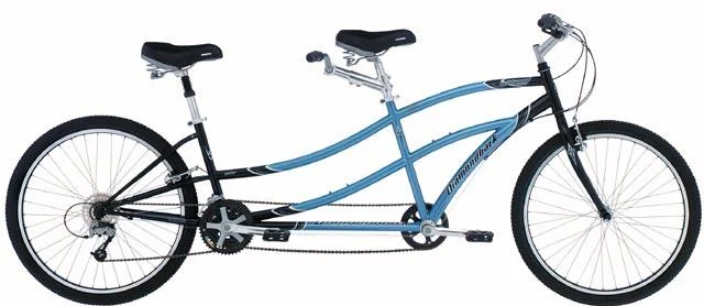2003 Diamondback Wildwood Tandem