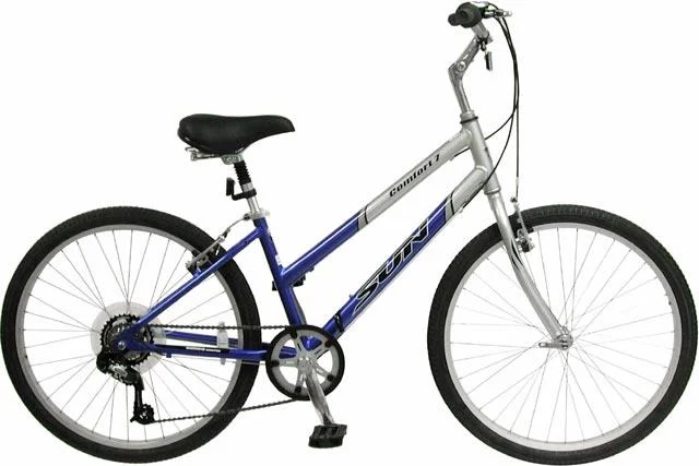 2003 Sun Bicycles Comfort 7