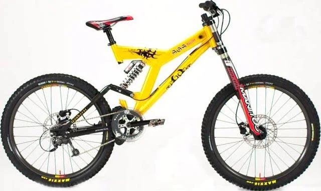 2003 Iron Horse SGS Team