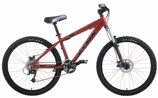 2004 Kona Scrap