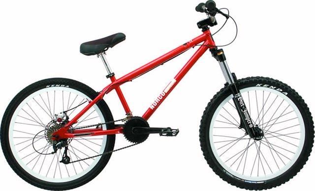 2004 Norco Two50