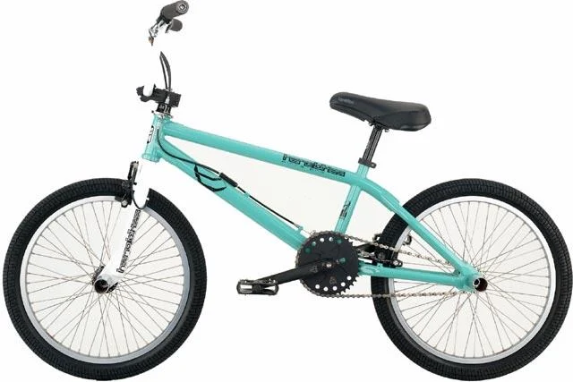 2004 Haro Mirra Pro