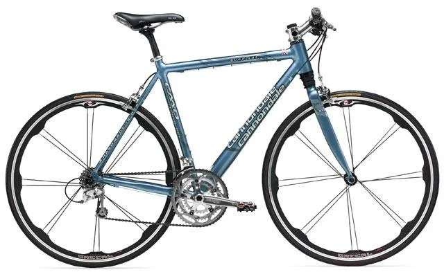 2004 Cannondale Road Warrior 1000 HeadShock
