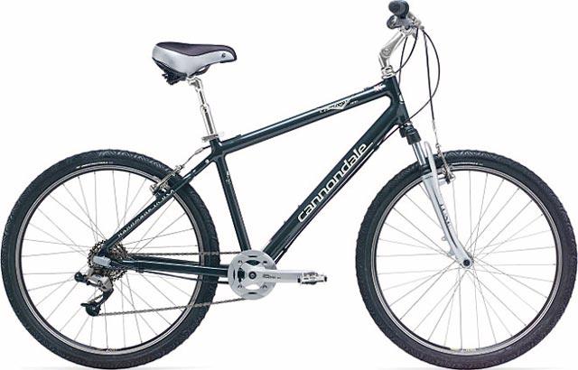 2004 Cannondale Comfort 800