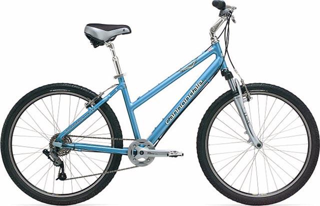 2004 Cannondale Comfort 800 Feminine