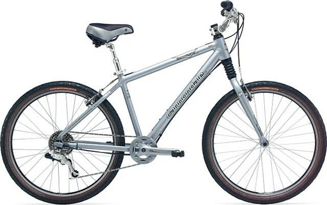 2004 Cannondale Silk Trail 1000