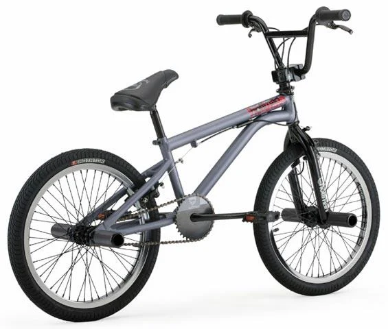 2004 Hoffman Bikes Momentum EL1