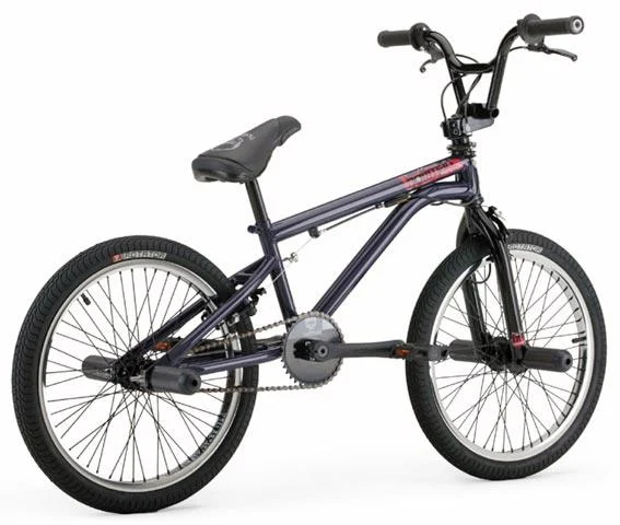 2004 Hoffman Bikes Momentum PL1