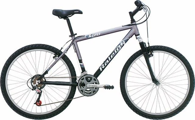 2004 Raleigh M20