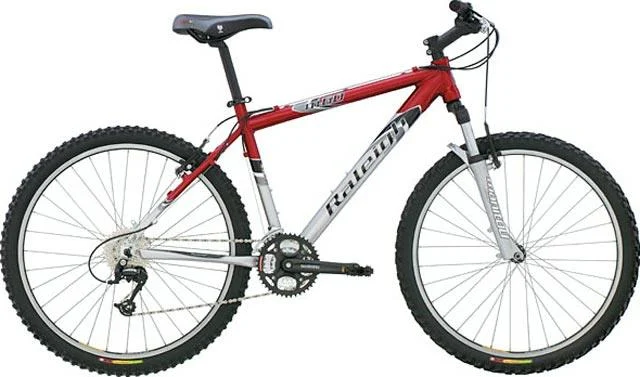 2004 Raleigh M60