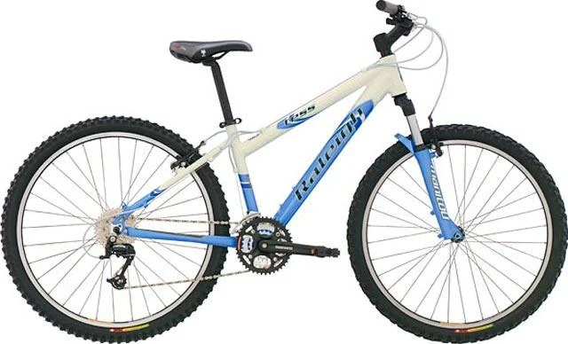 2004 Raleigh Tess