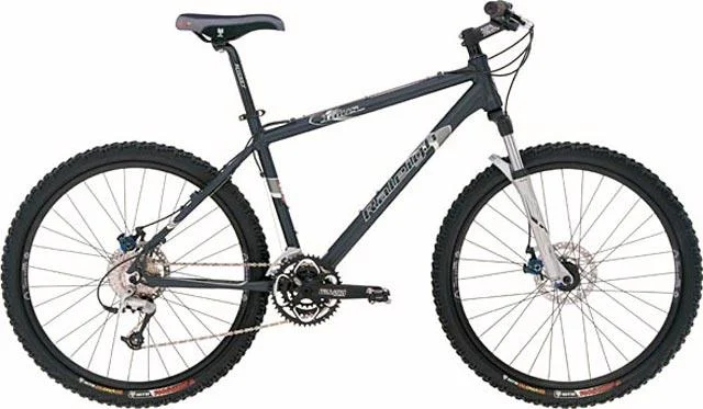 2004 Raleigh Talus