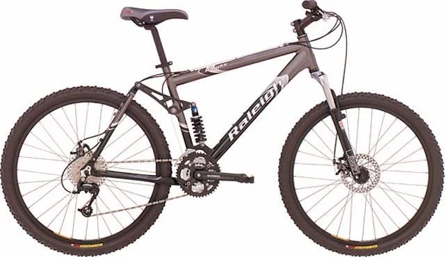 2004 Raleigh Ram 2.0