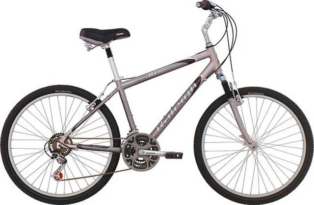 2004 Raleigh SC30