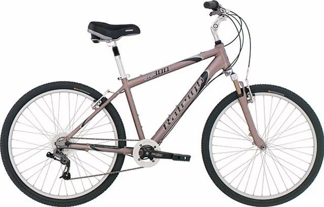 2004 Raleigh SC300