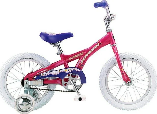 2004 Schwinn Lil' Stardust