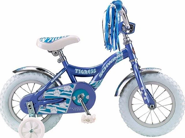 2004 Schwinn Tigress