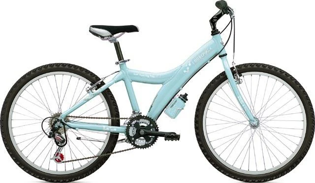 2004 Giant MTX 225