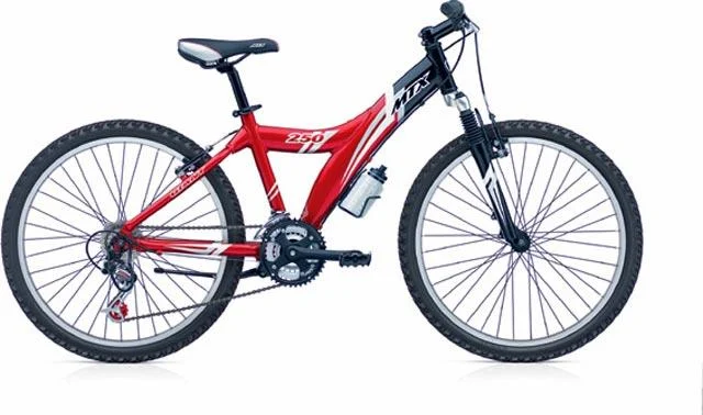 2004 Giant MTX 250