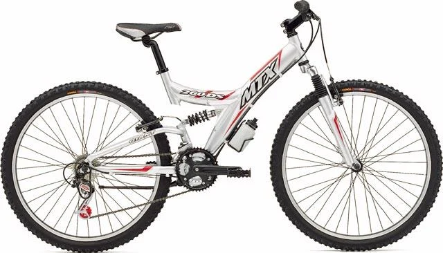 2004 Giant MTX 260 DS