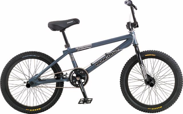 2004 Mongoose Expert