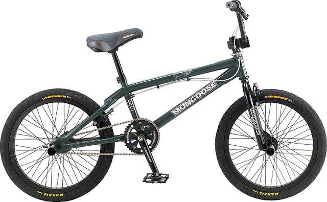 2004 Mongoose Rogue
